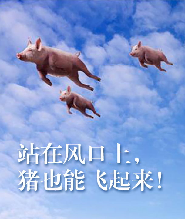 成群结队想要变成猪的人们朝着一个个幻化出来的风口飞奔而去