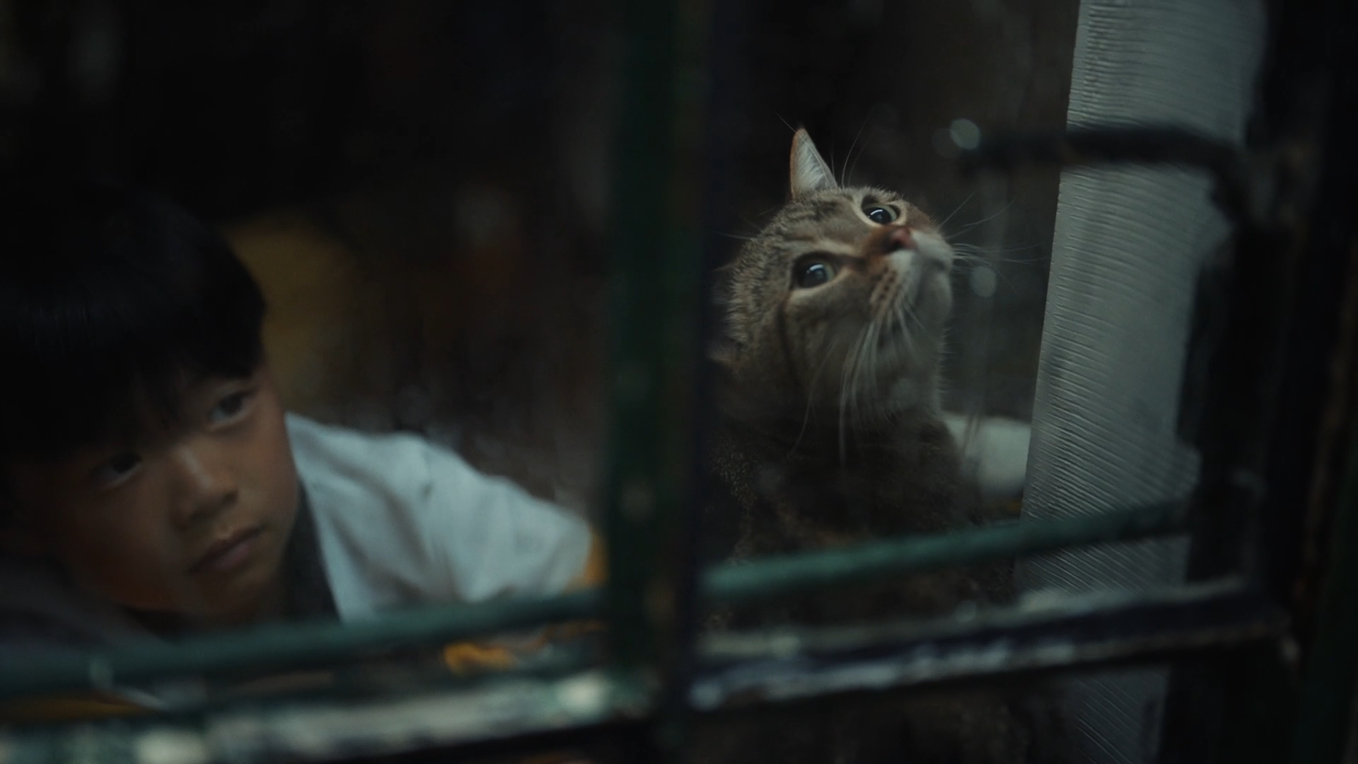 vivooriginos价值篇美好新世界