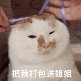 5w块不用上班的微博抽奖为什么这么火