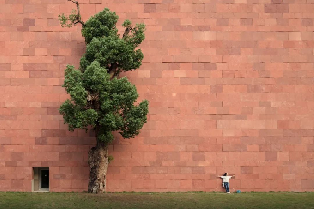 杭州建筑杀出圈，遍地“建筑界诺贝尔奖”得主设计作品 - 数英