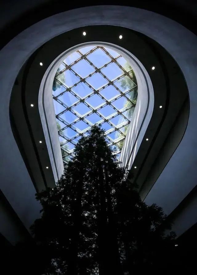 杭州建筑杀出圈，遍地“建筑界诺贝尔奖”得主设计作品 - 数英