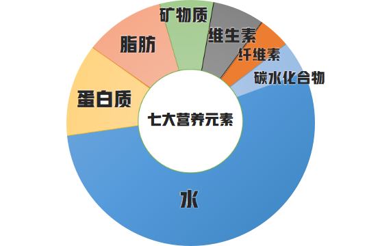 人体内营养元素的均衡比例 对于体重体型正常的人来说