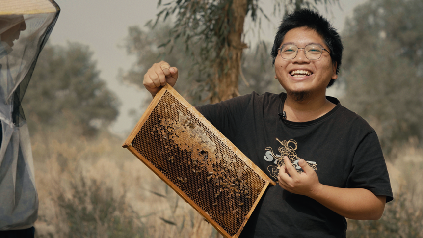 快手「丰收,在每一天」:致敬每一位新时代的新农人 - 数英