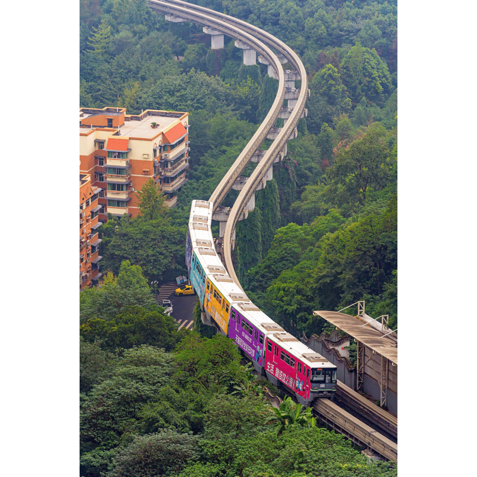 天猫双11：品牌色猫头海报来了，五颜六色的缤纷热爱