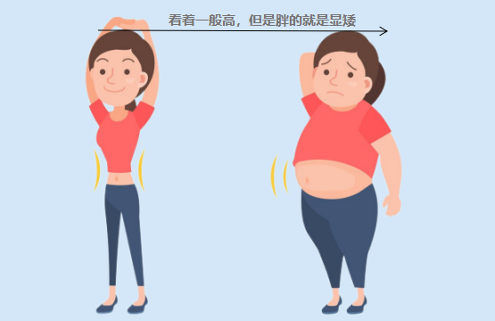 胖人瘦下来后,会长高或变矮吗? - 数英
