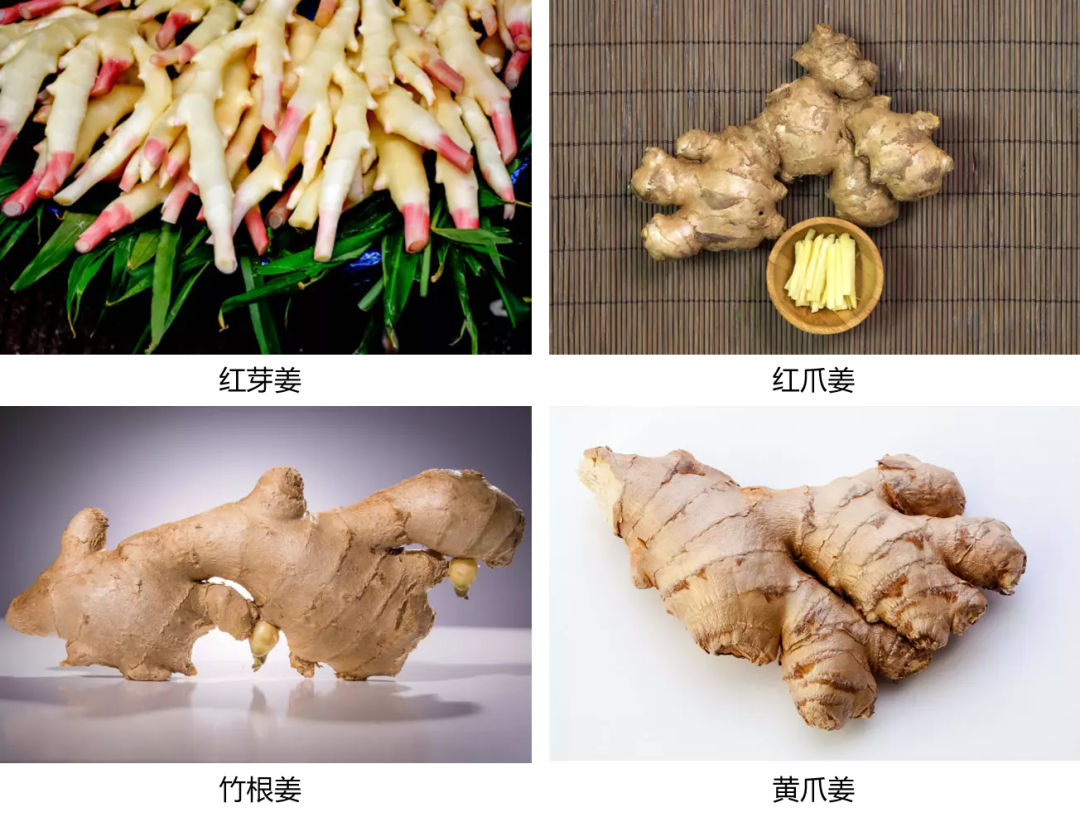 从滋补药引到暖心美食,千年生姜里藏着多少生意?| 宝藏食材 - 数英