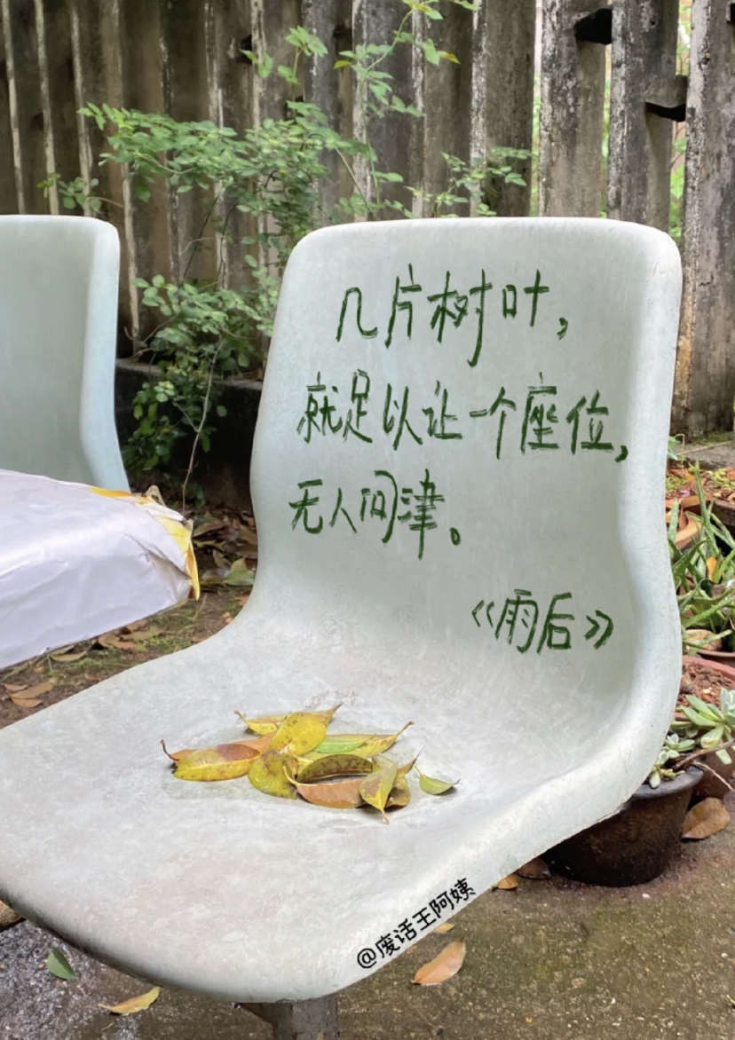 小红书废话王阿姨的诗,比生活更松弛 - 数英