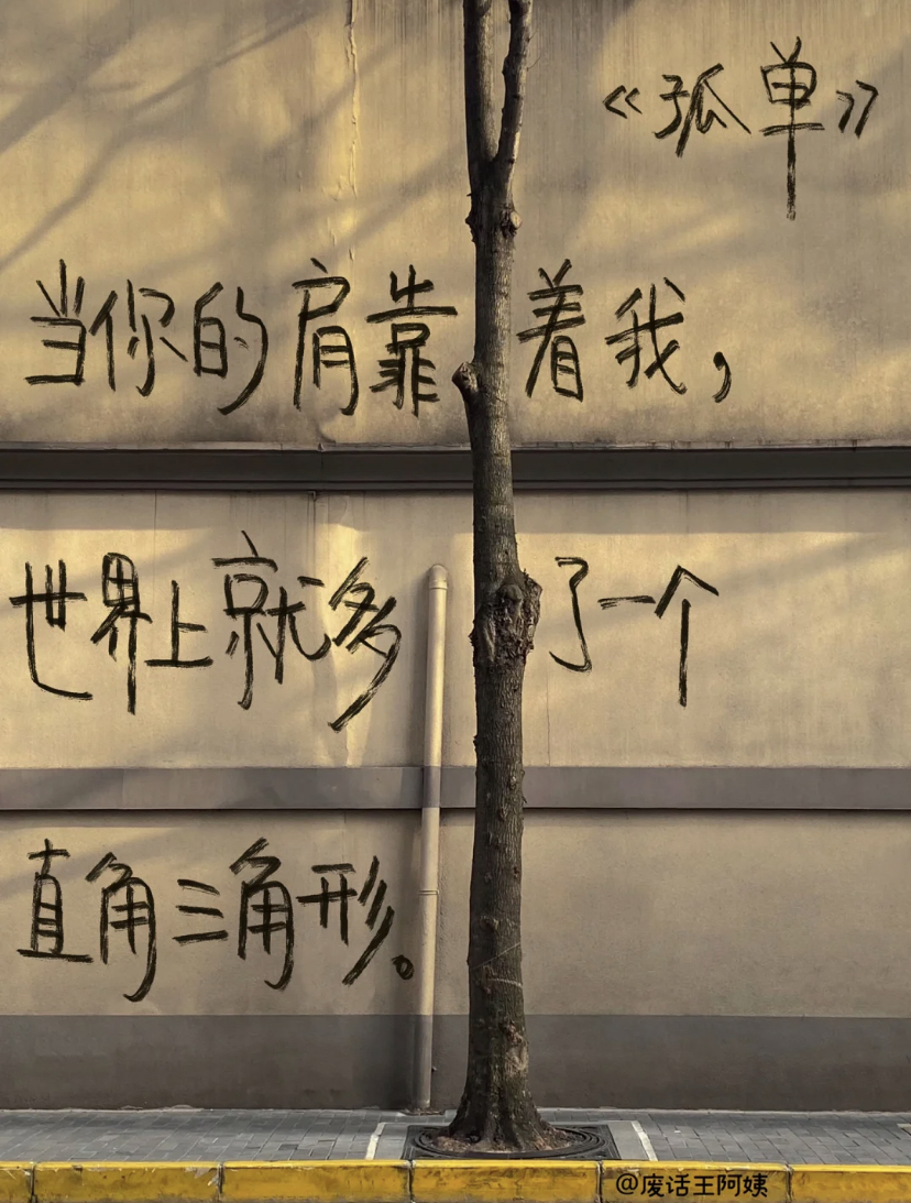 小红书废话王阿姨的诗,比生活更松弛 - 数英