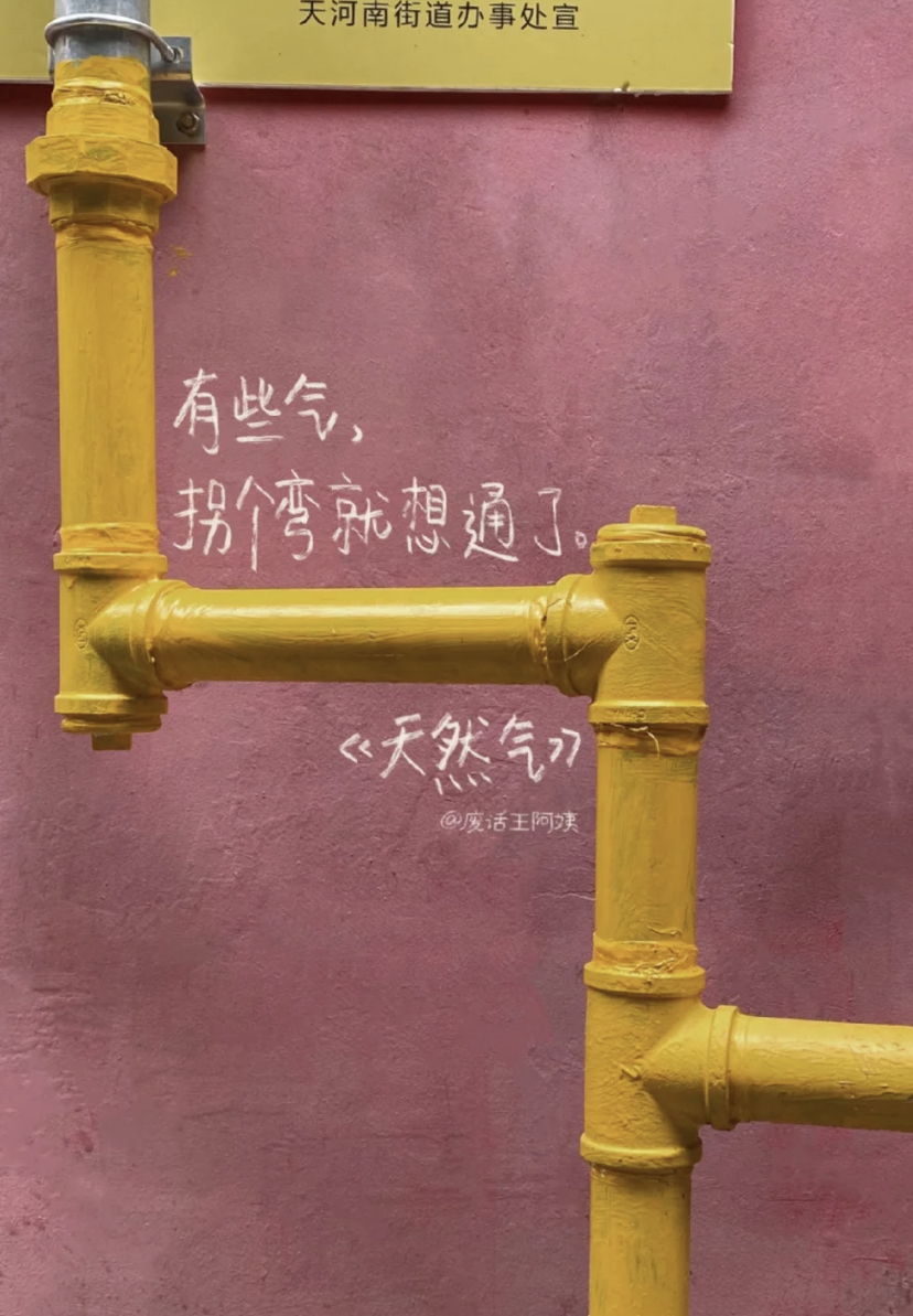小红书废话王阿姨的诗,比生活更松弛 - 数英