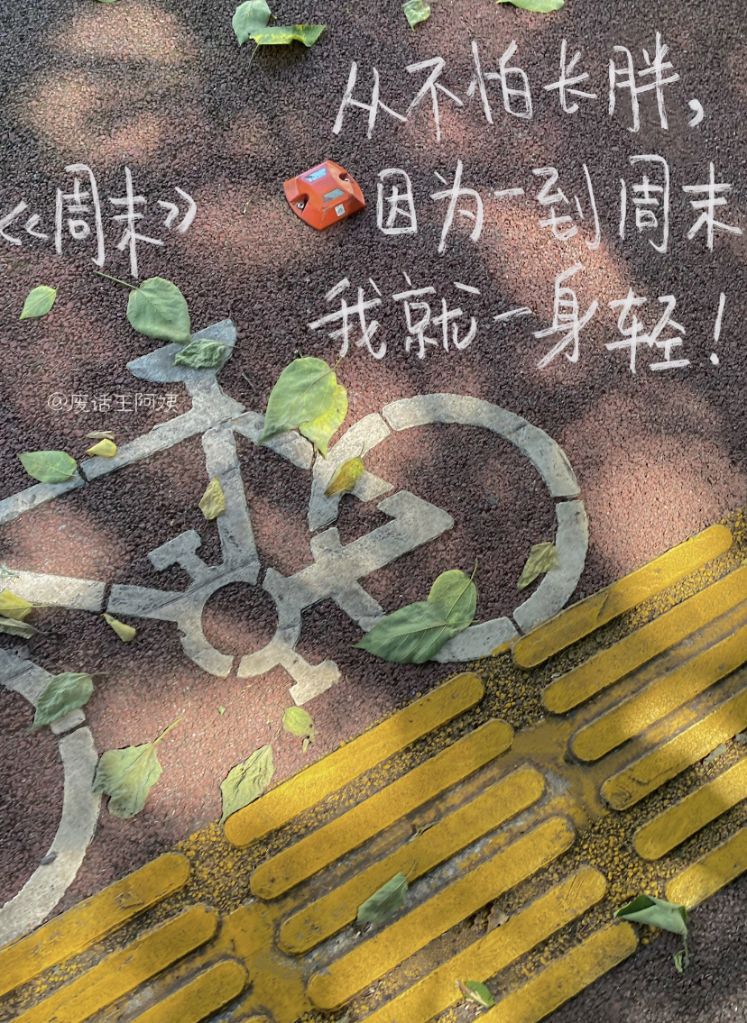小红书废话王阿姨的诗,比生活更松弛 - 数英
