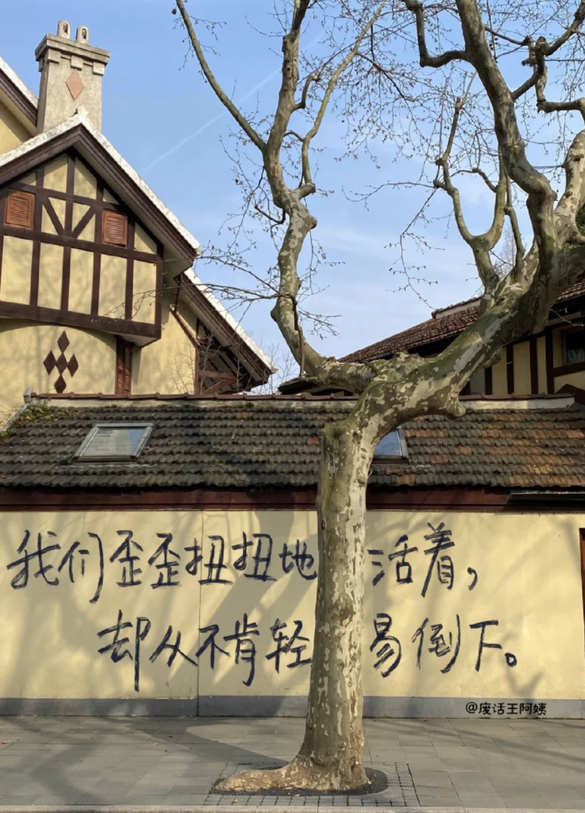 小红书废话王阿姨的诗,比生活更松弛 - 数英