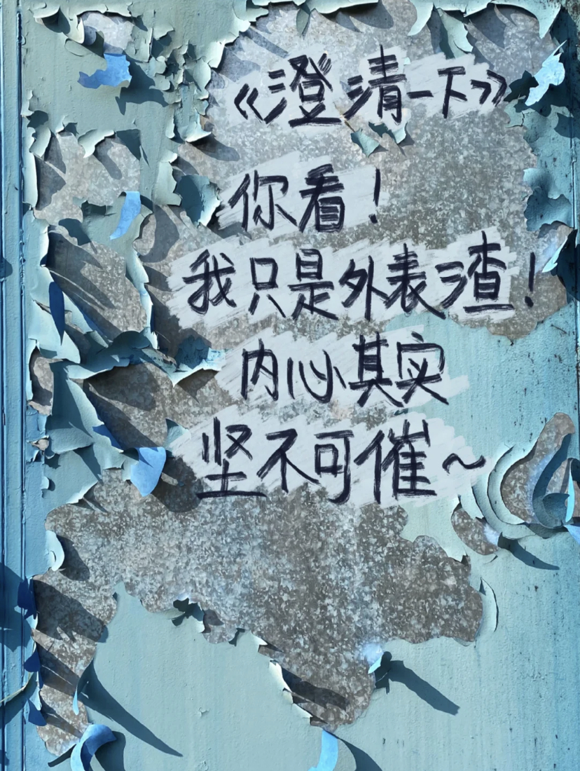 小红书废话王阿姨的诗,比生活更松弛 - 数英