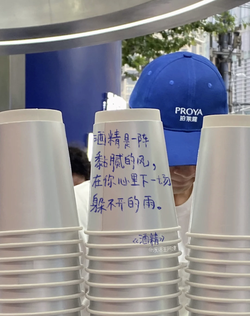 小红书废话王阿姨的诗,比生活更松弛 - 数英