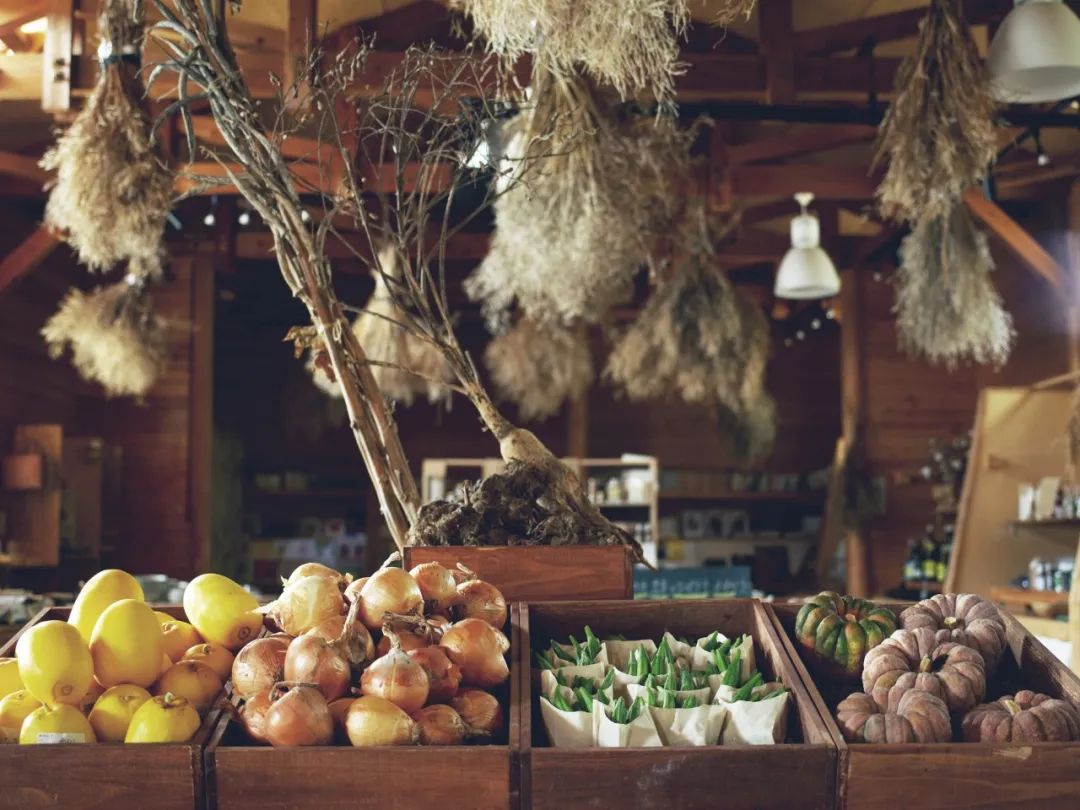 日本喉镜怎么做日本最高设计奖GOOD DESIGN AWARD 2023百佳获奖作品精彩出炉！_https://www.jmylbn.com_新闻资讯_第95张