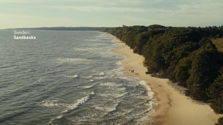 手表奢侈品牌排行榜_世界名表排行榜!|浪琴|爱彼|卡地亚|劳力士|万宝龙|百达翡丽_网易订阅(2)