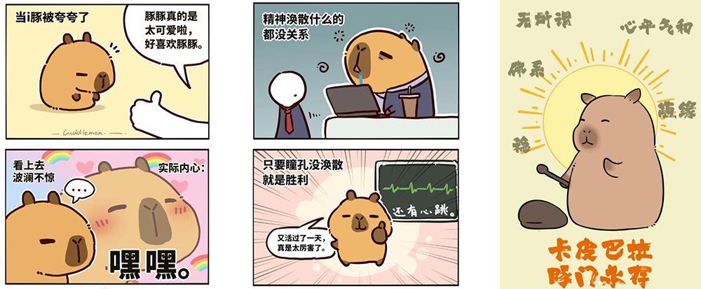 动物界ip新顶流,水豚卡皮巴拉爆火拆解 - 数英