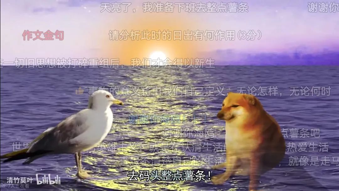 7天B站涨粉20万，“猫meme”为何风靡全网？