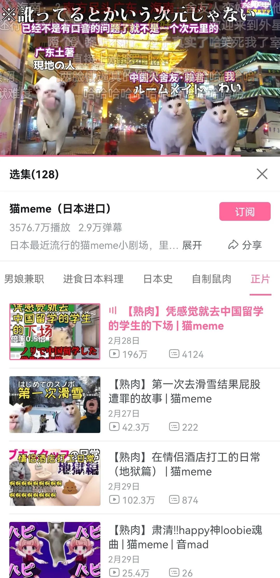 7天B站涨粉20万，“猫meme”为何风靡全网？