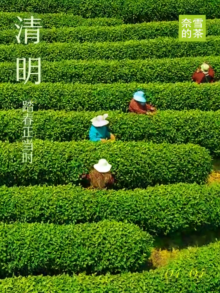 清明海报合集，去有风的地方找春天