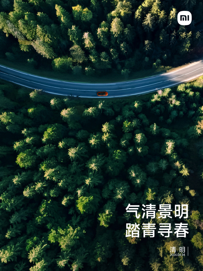 清明海报合集，去有风的地方找春天