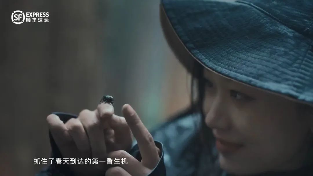 假期将至，24句文案，带你提前跃入旷野
