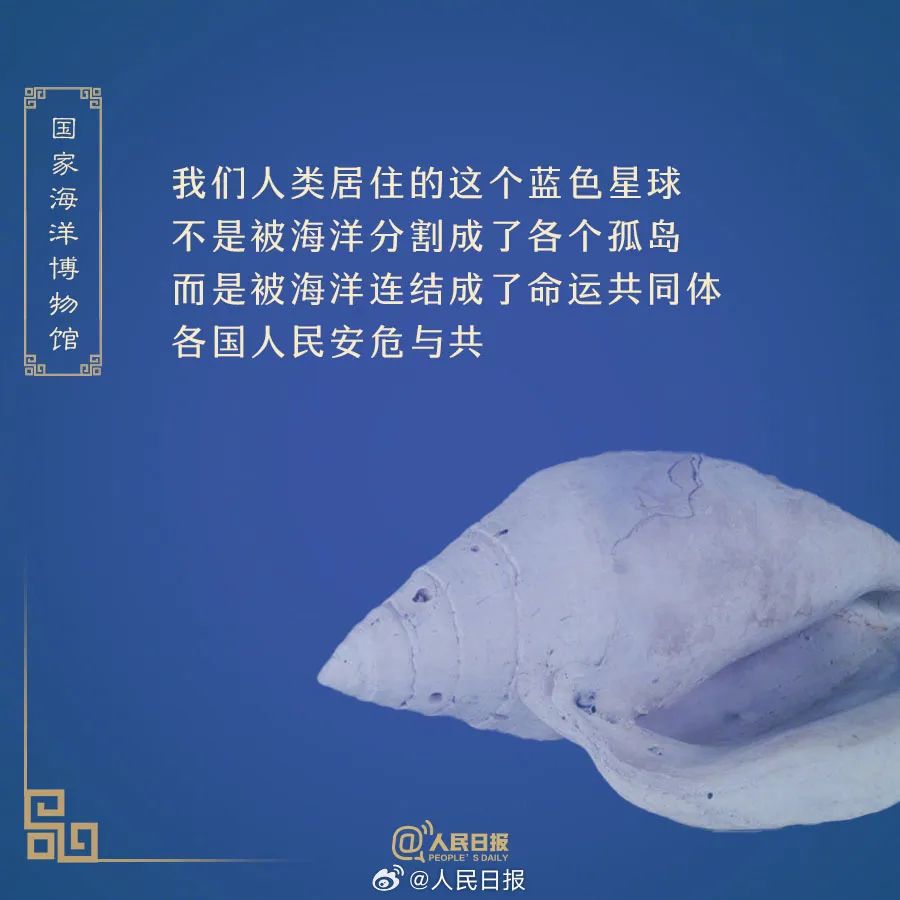 全国各地的博物馆文案，简直神仙打架