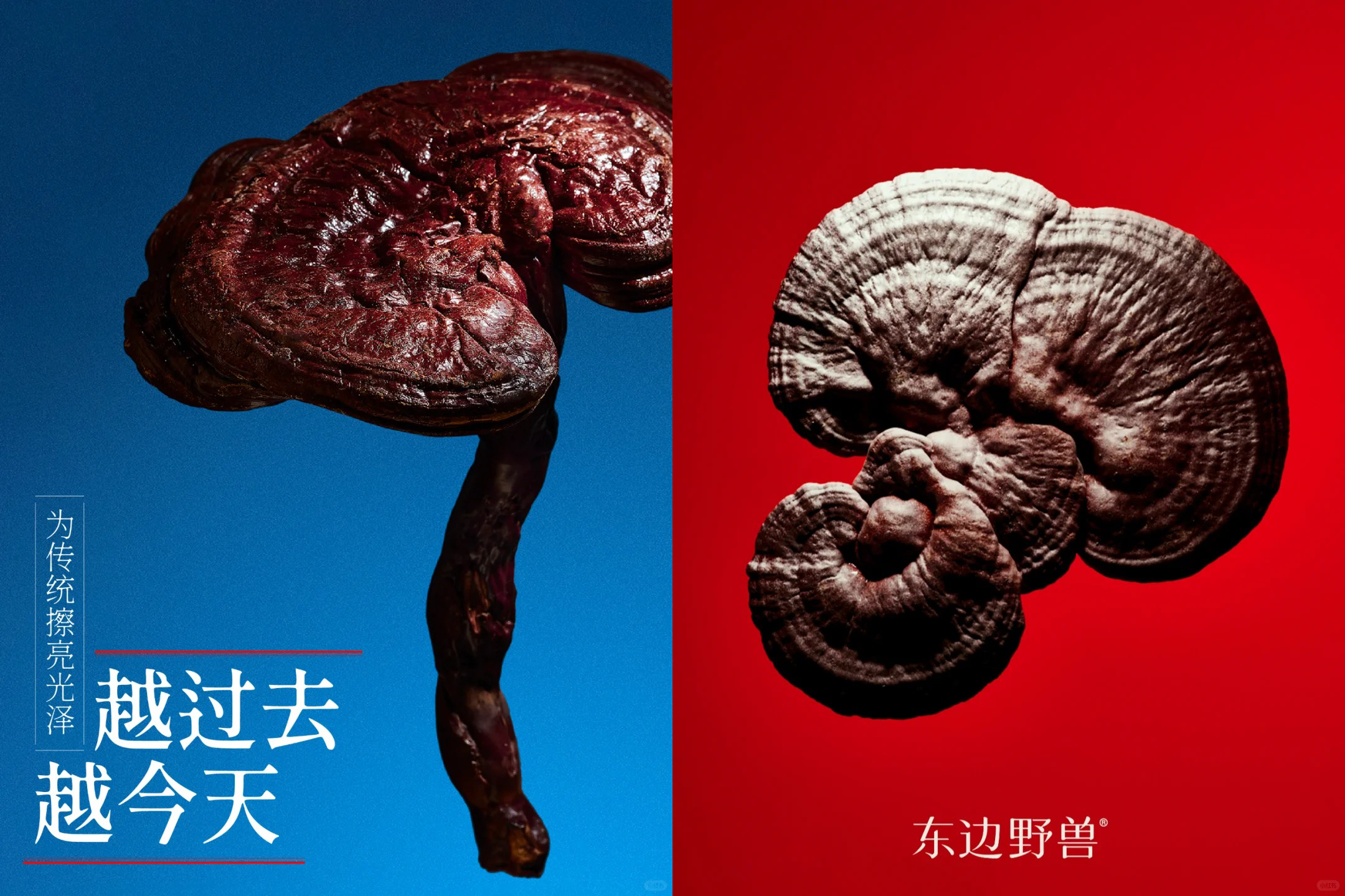 对话东边野兽创始人何一：用品牌探索，何为东方的良好生活
