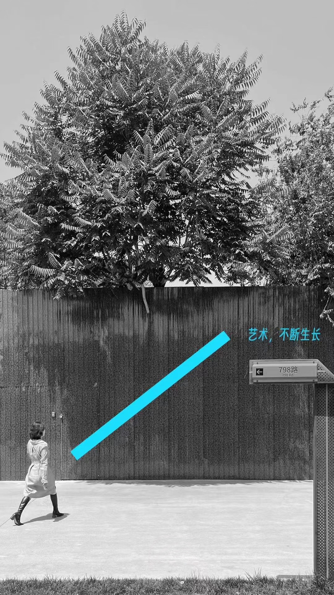 798 artworks X 艺术家王光乐:磷感开幕 - 数英