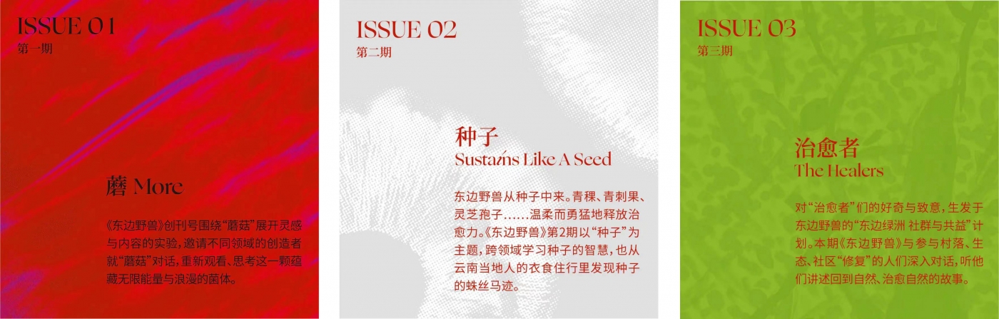被品牌杂志硬控，忍不住想唠几句