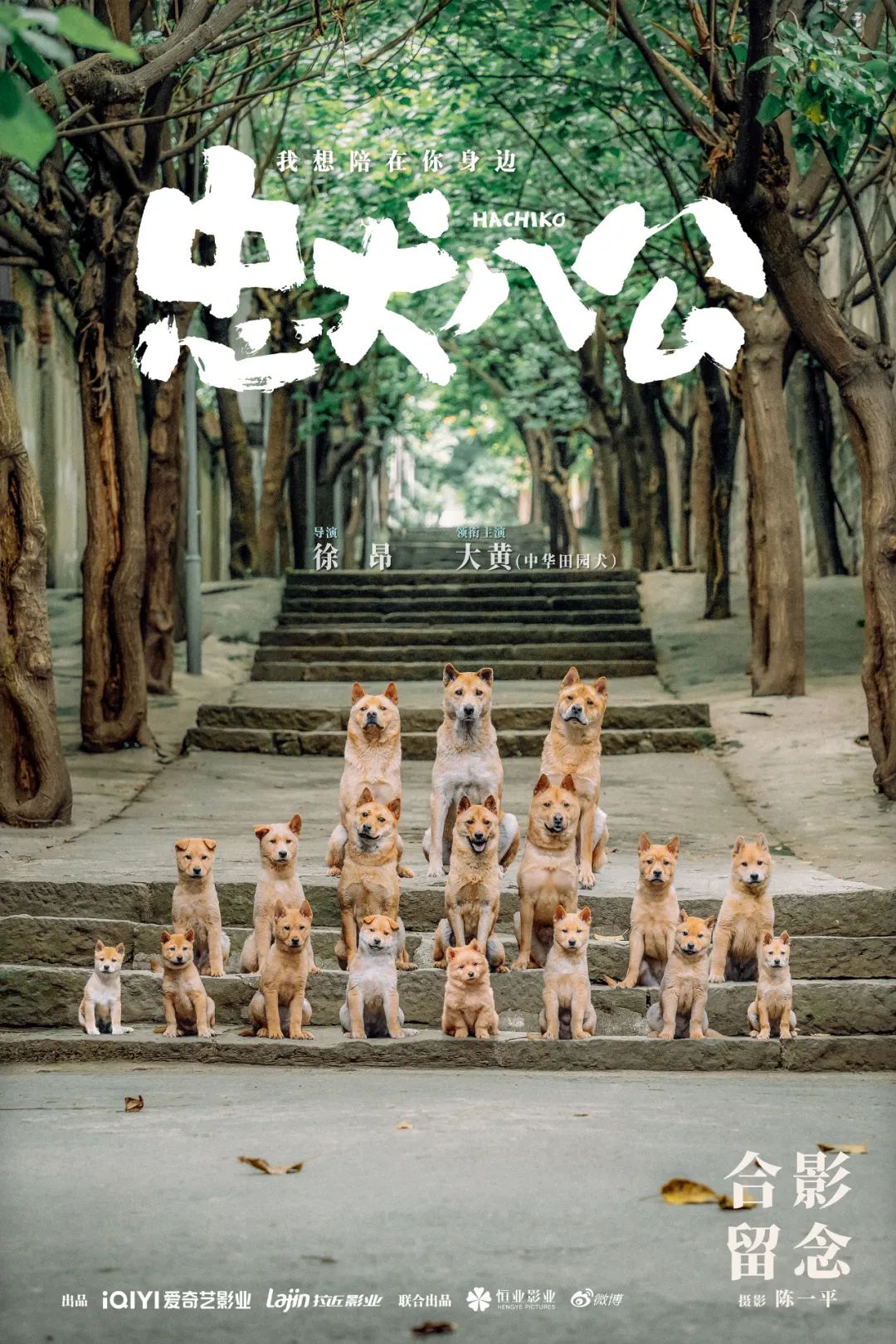 跟着电影海报学标题设计
