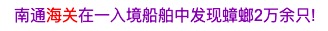 进口电动轮椅什么牌子好看海关发布的公众号标题，跟开脱口秀盲盒似的_https://www.jmylbn.com_新闻资讯_第2张