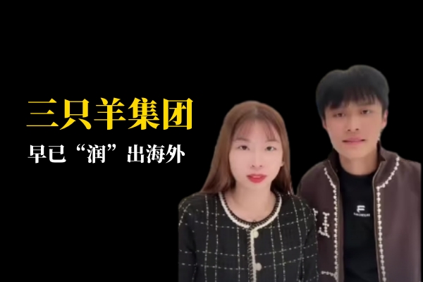 三只羊早已“润”出海外 - 数英