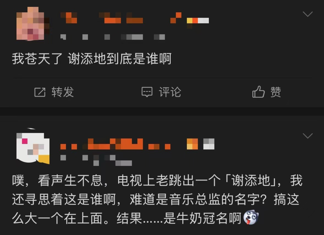 有声量没销量,“谢添地”赞助《声生不息》值回入场费了吗? - 数英