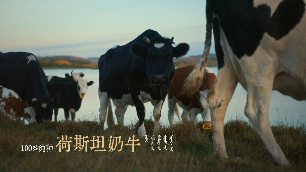 1759201611557891.png 1759201611557891.png