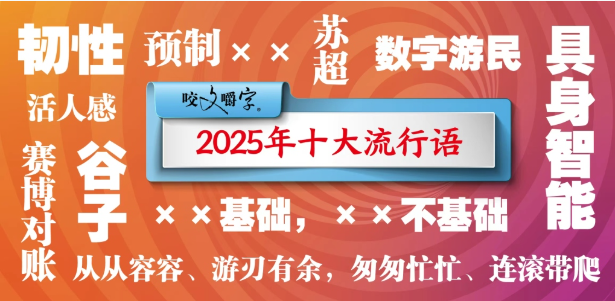 《咬文嚼字》，流行语，娱乐幽默