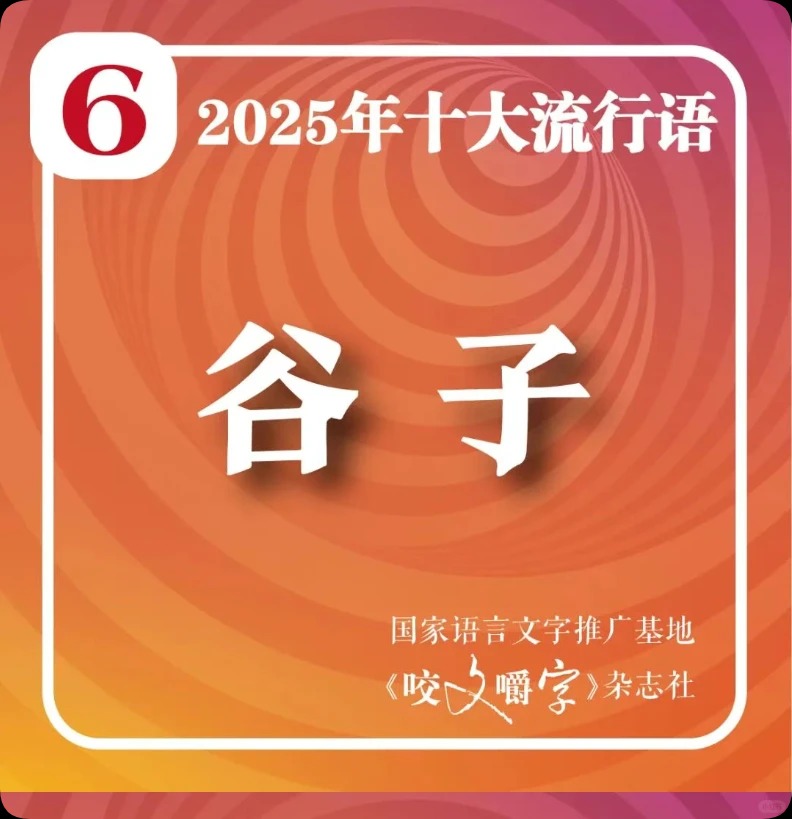 《咬文嚼字》，流行语，娱乐幽默