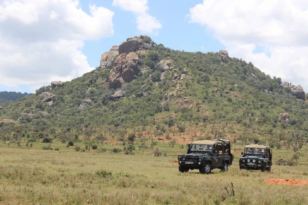 《疯狂动物城2》，幕后制作，动画