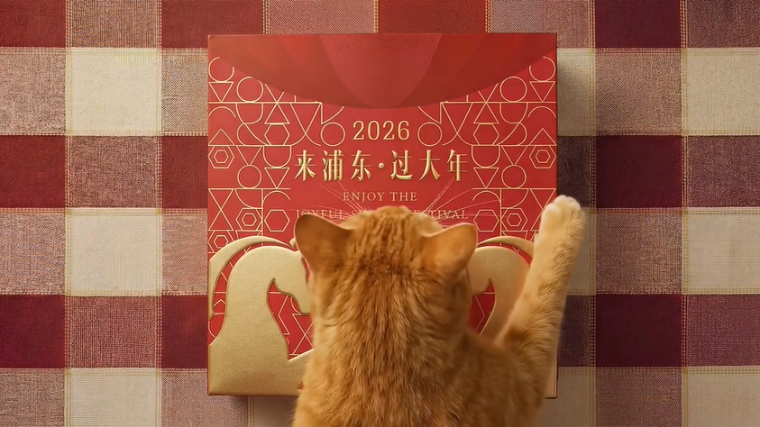 项目频道 - 小橘猫邀请您，来浦东，过大年