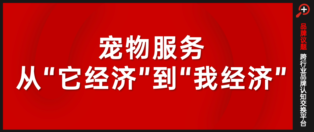 文章频道 - 从留守宠物到万亿市场：春节点燃它经济