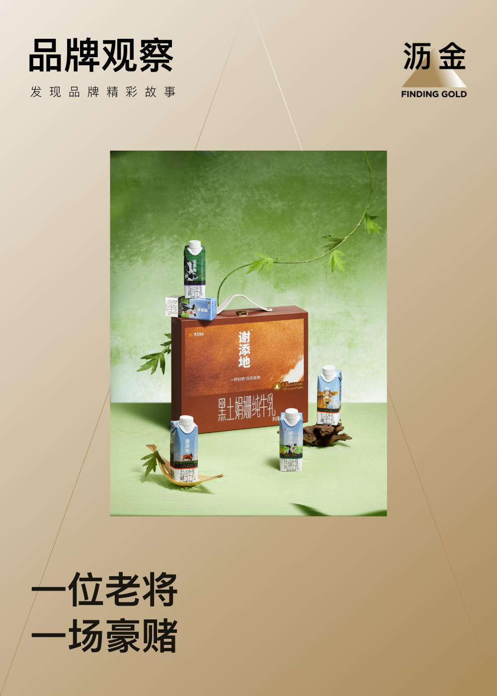 文章频道 - 谢添地的18个月：一个特仑苏人的野心与失败