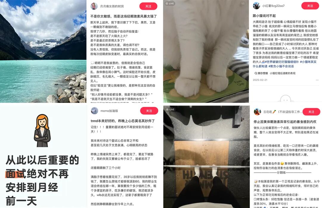 项目频道 - OPPO手表×孙颖莎：关注女性的450个周期