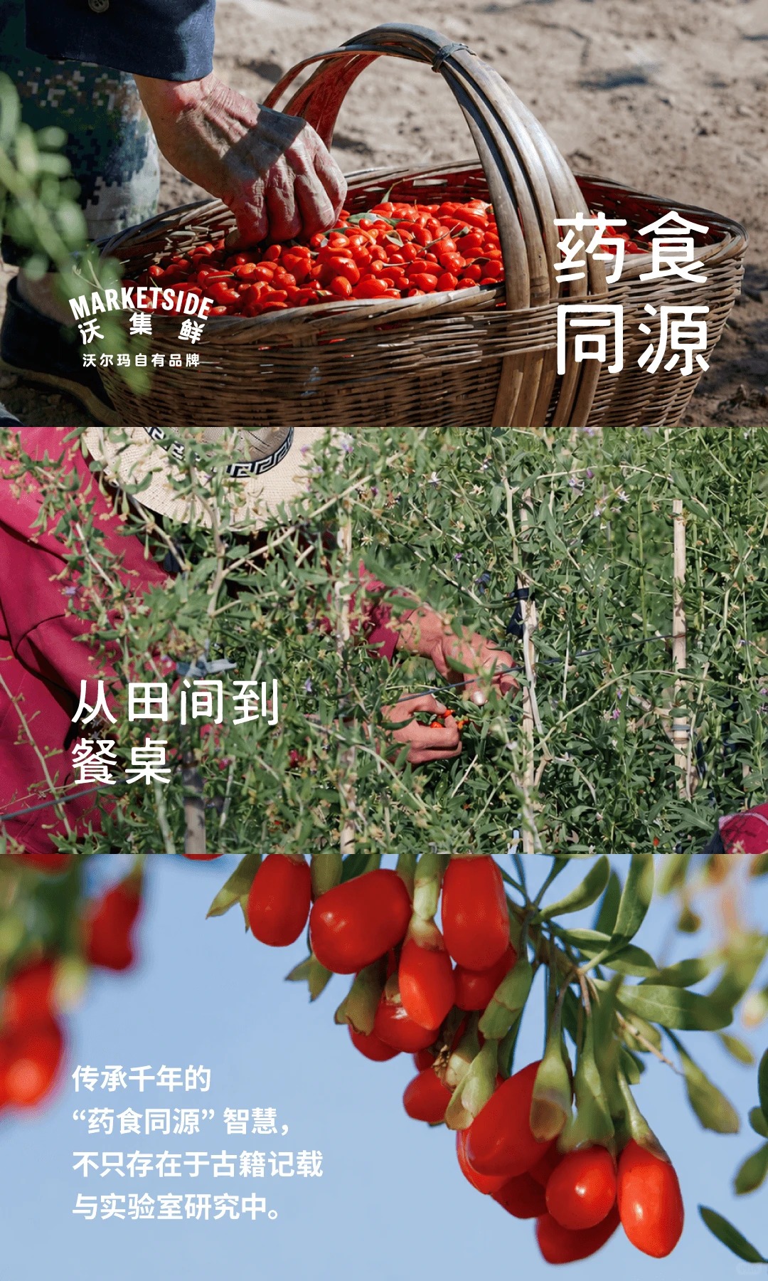 フール玛