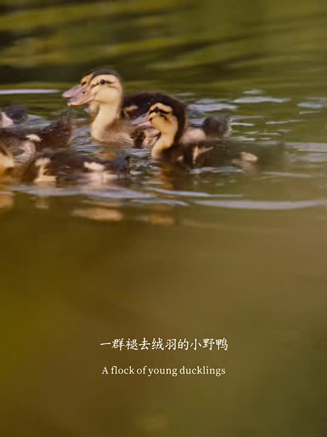 1786692897327624.png 1786692897327624.png