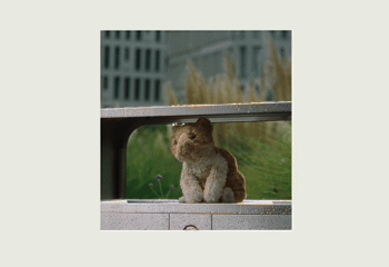 1786951249821766.gif