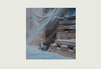 1786951249839909.gif 1786951249839909.gif