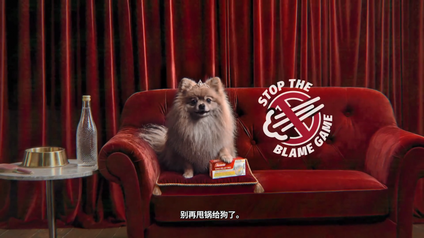 药品广告,狗.png 药品广告,狗.png