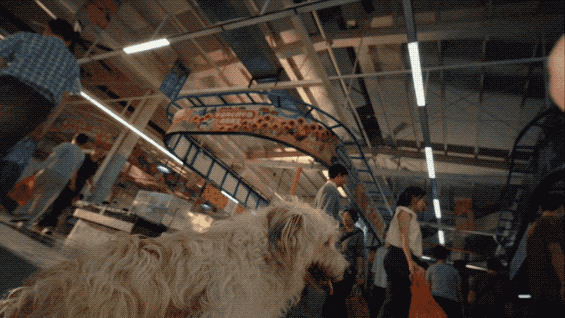 1787042354288794.gif 1787042354288794.gif