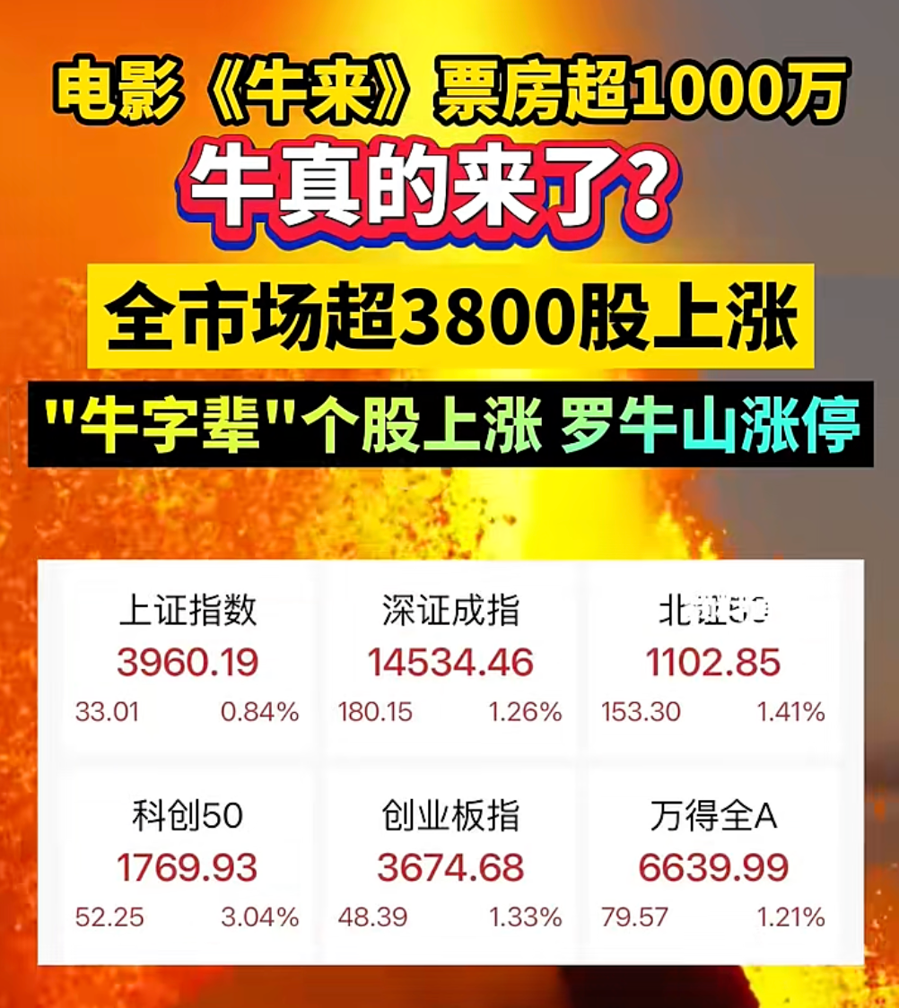 牛来,信雨萌,专访,电影 牛来,信雨萌,专访,电影