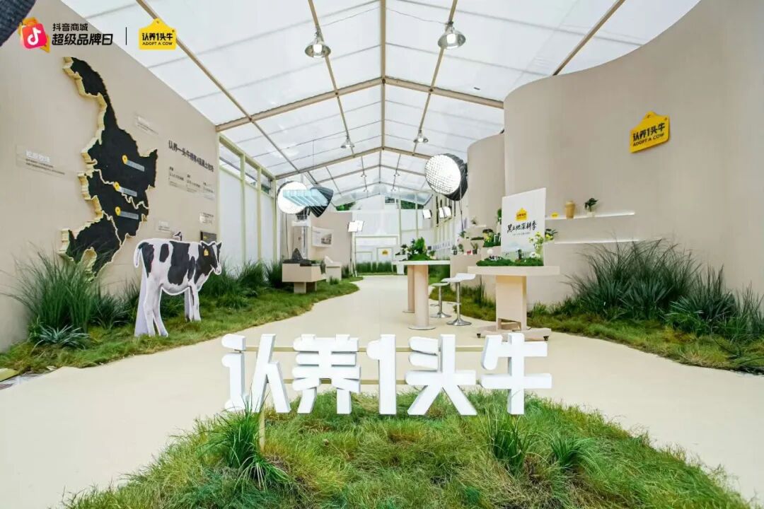 认养一头牛,明星,公关 认养一头牛,明星,公关