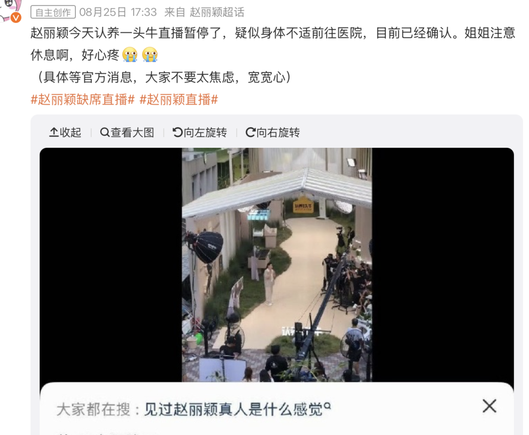 认养一头牛,明星,公关 认养一头牛,明星,公关